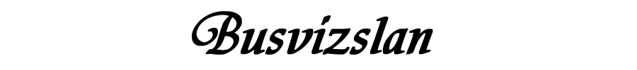 Busvizslan