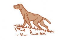 Hungarian_vizsla_society