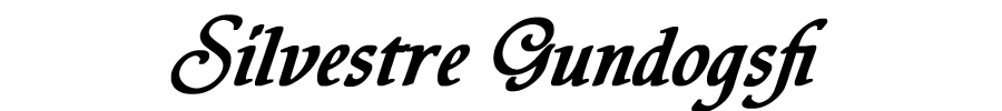 Silvestre Gundogs