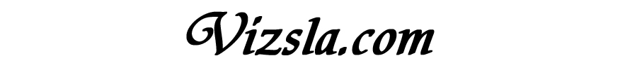 Vizsla.com