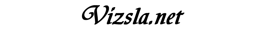 Vizsla.net