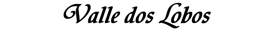www.valledoslobos.com